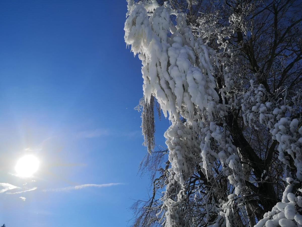 Penzion U našich Mladé Buky Exterior foto